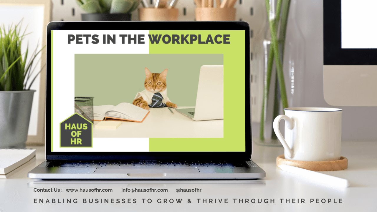 Pets in the Workplace