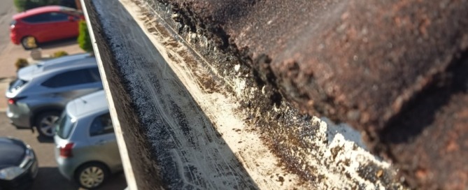 GuttVac Gutter Cleaning Northampton