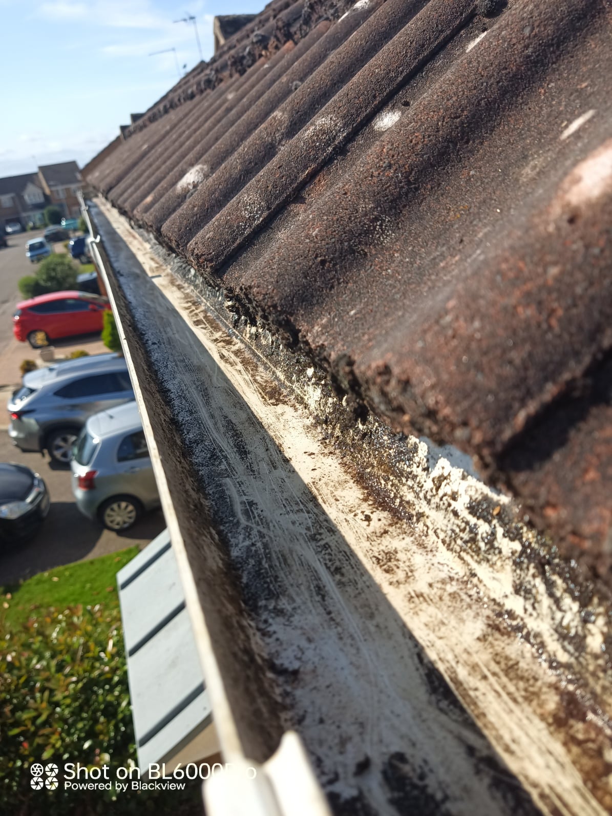 GuttVac Guttering And Exterior Cleaning Services | Northamptonshire Chamber of Commerce