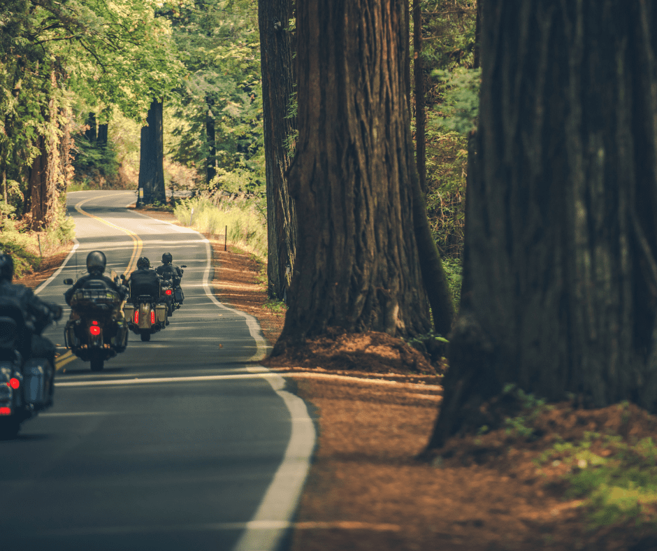 Autumn ride out, on motorcycles.