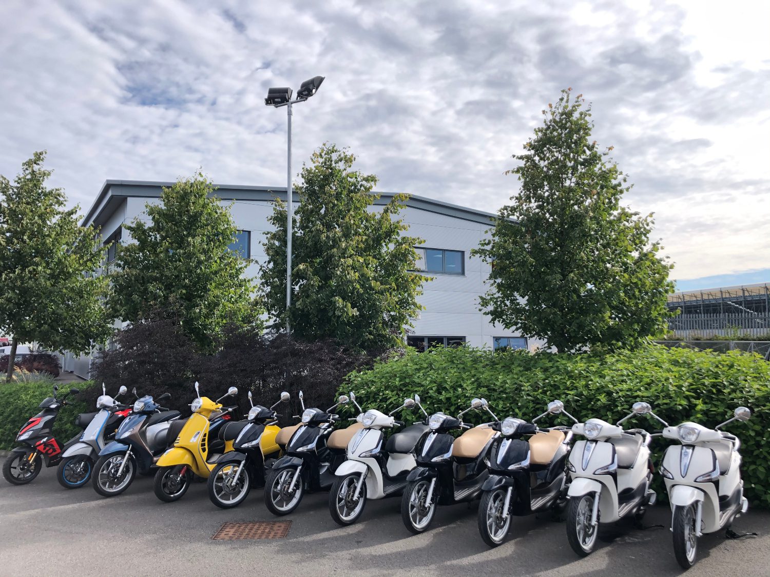 A variety of scooters lined up in a row at Silverstone.