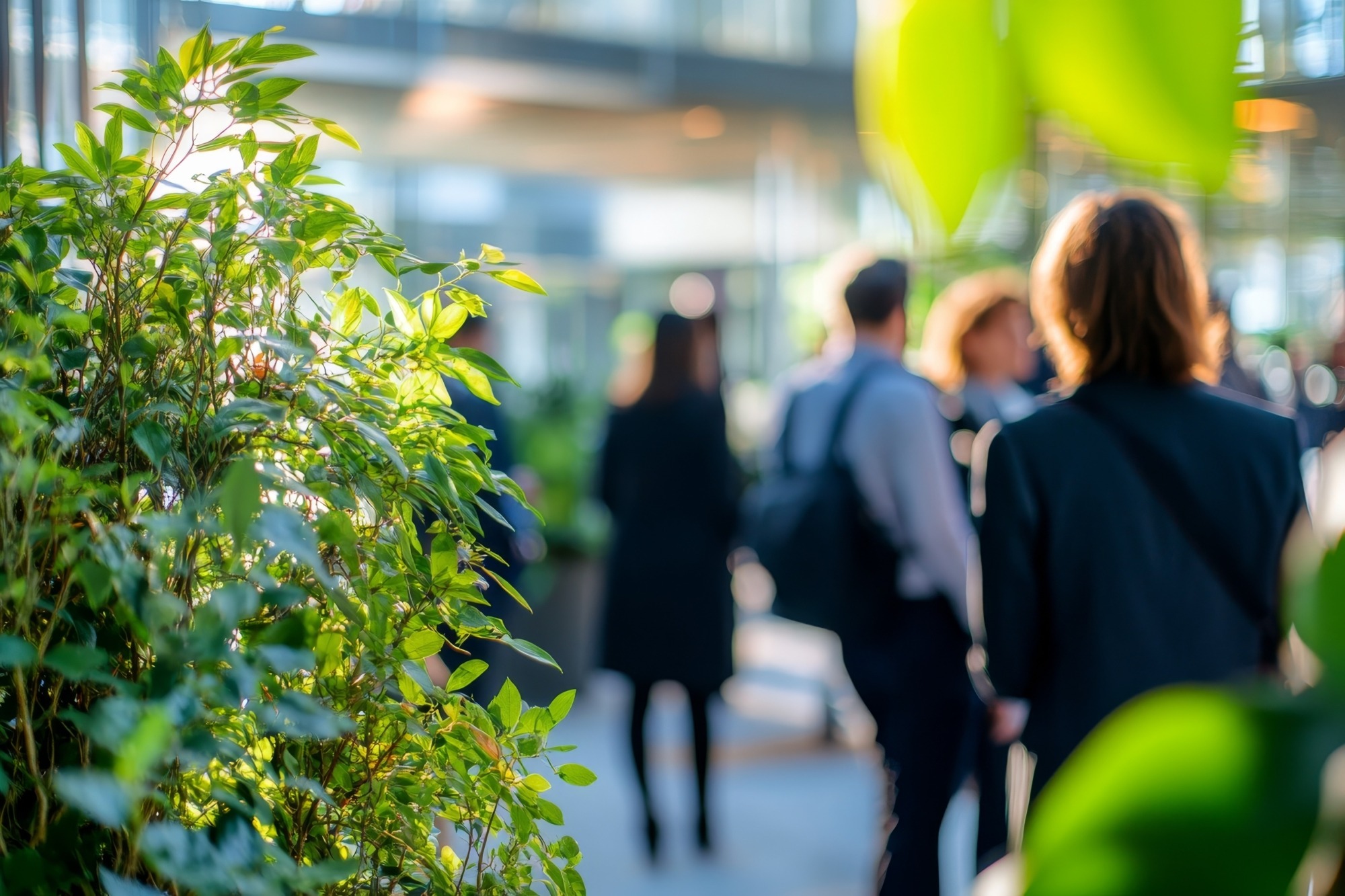 AdobeStock_1116202242-2-scaled