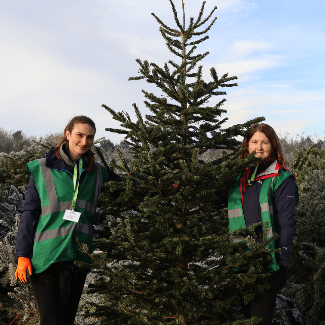 Cransley Hospice Trust’s Community Christmas Tree Recycle Returns in January! | Northamptonshire Chamber of Commerce