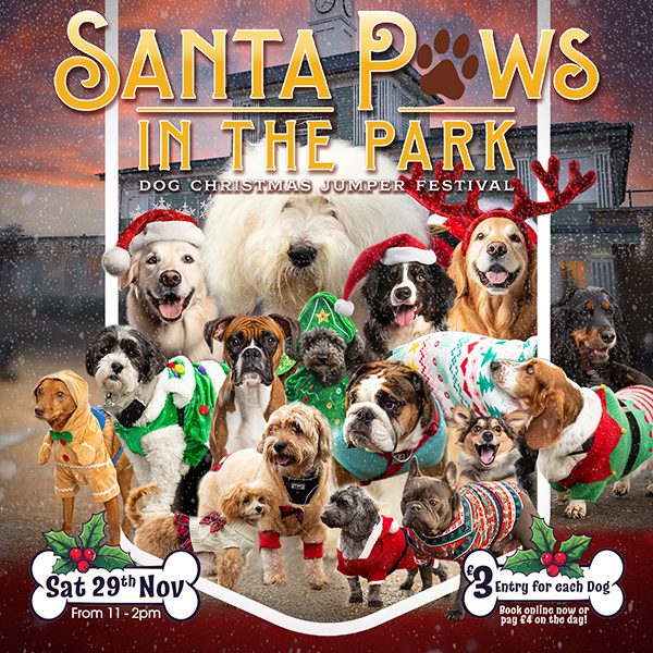 Santa Paws in the Park | Northamptonshire Chamber of Commerce
