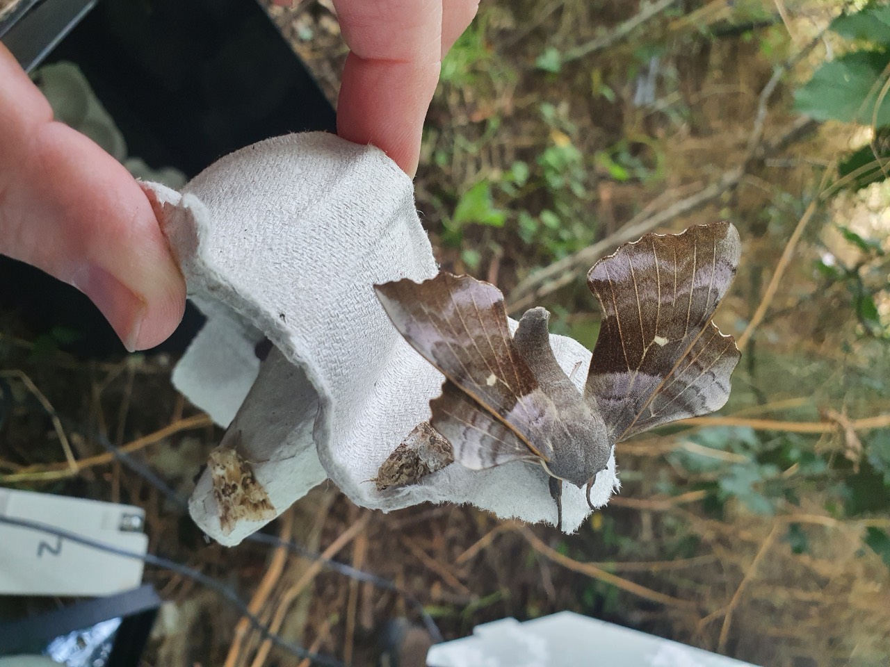 Moulton College students get hands-on with biodiversity efforts | Northamptonshire Chamber of Commerce