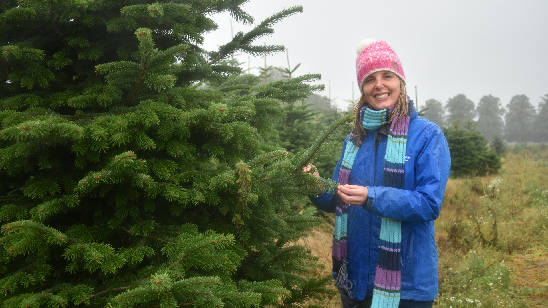 Support local palliative care by recycling your Christmas tree | Northamptonshire Chamber of Commerce