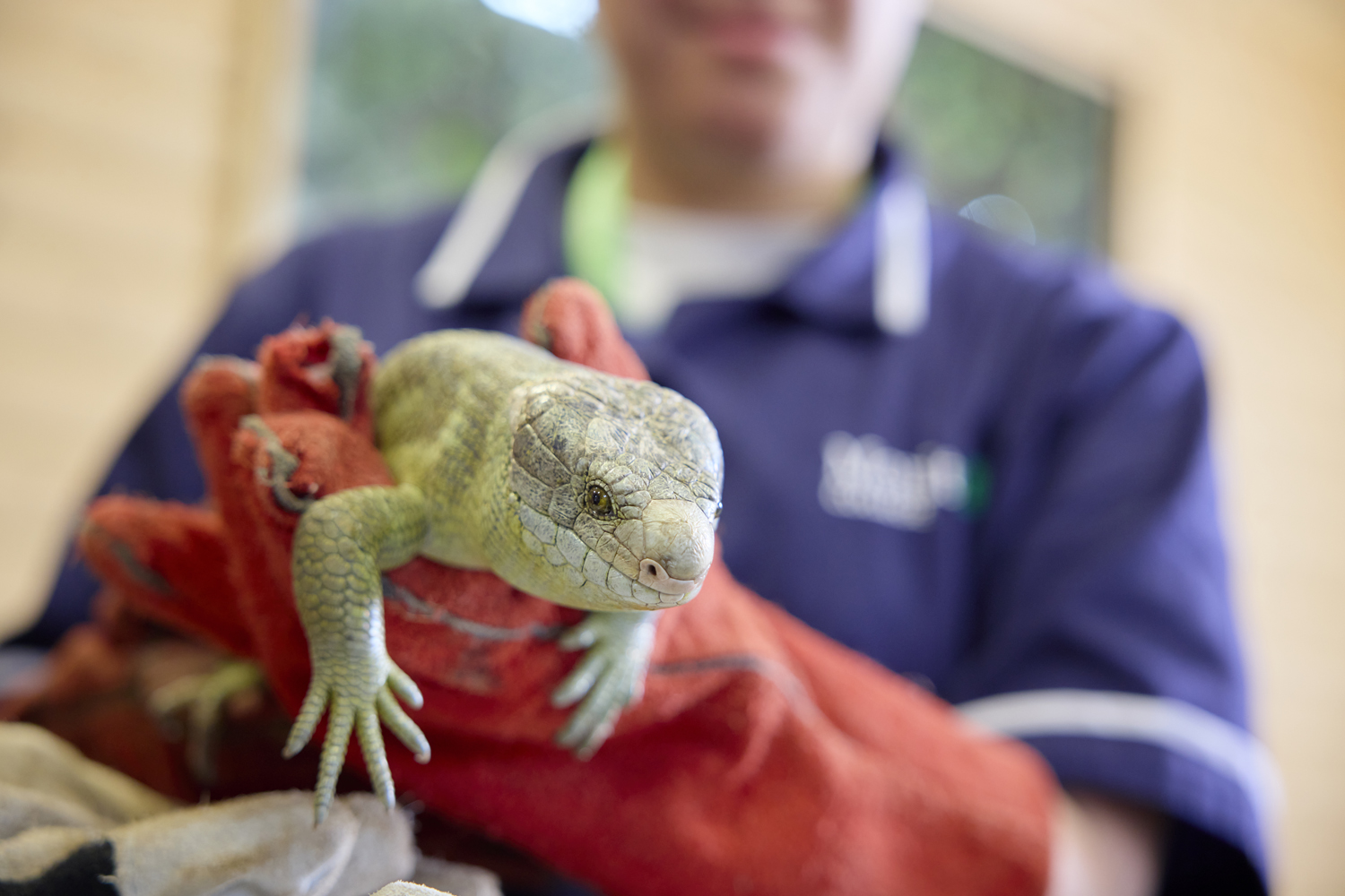 Moulton College partners with Nature’s SAFE to boost animal conservation efforts | Northamptonshire Chamber of Commerce