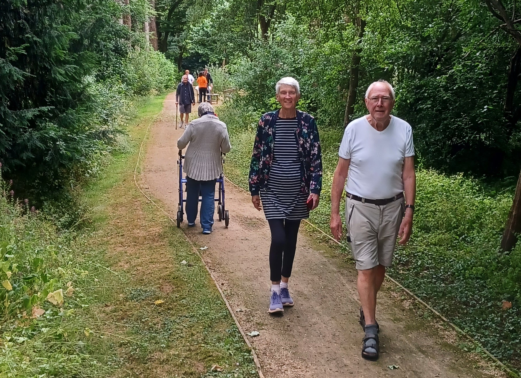 Every step counts in woodland walk | Northamptonshire Chamber of Commerce