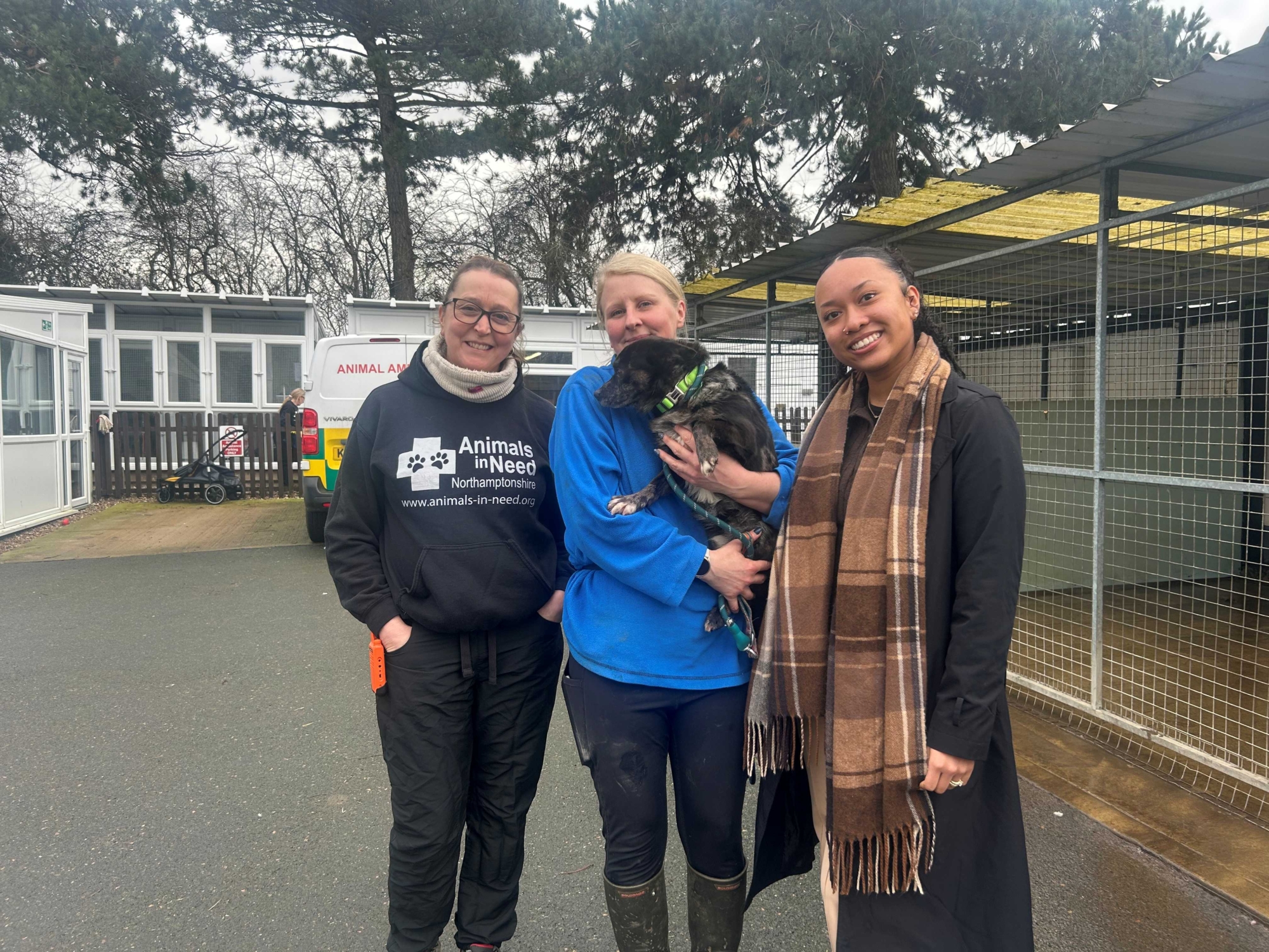 Commsave announces Animals in Need Northamptonshire as its Charity of the Year | Northamptonshire Chamber of Commerce