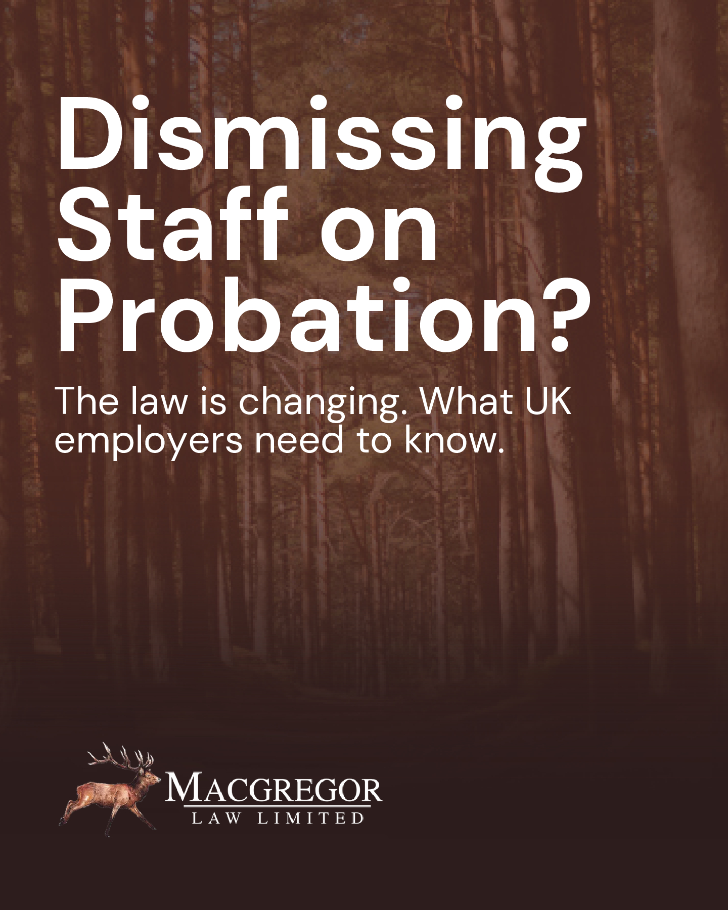 Can you dismiss an employee during probation? | Northamptonshire Chamber of Commerce