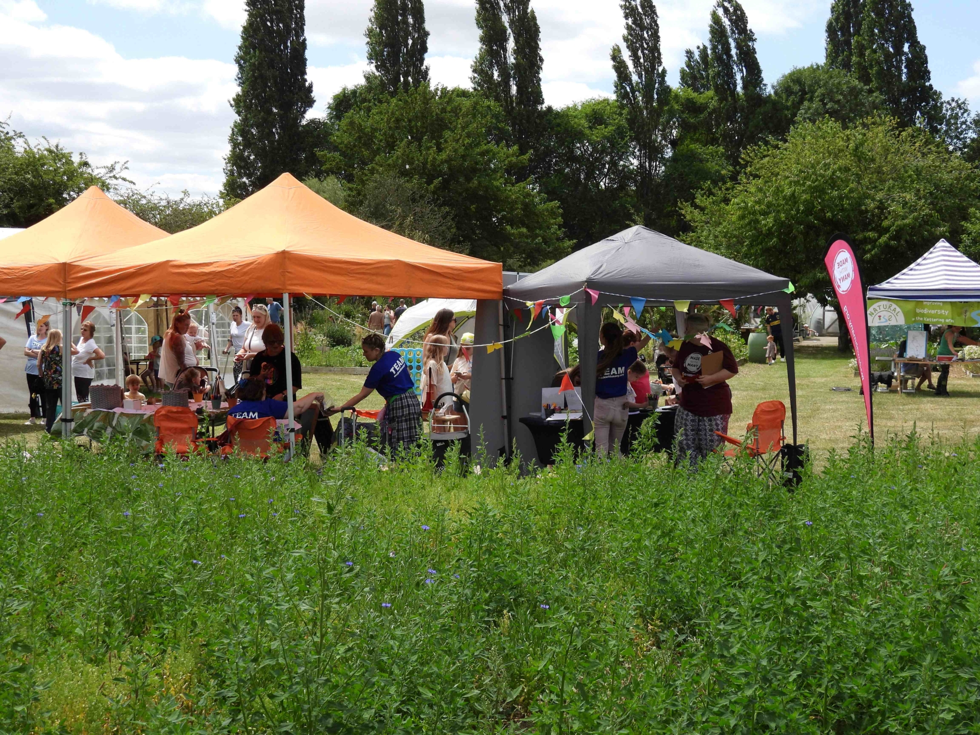 Record numbers as The Green Patch community garden enjoys busiest summer yet | Northamptonshire Chamber of Commerce